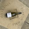 Pinot Gris 2023 LIMITED RELEASE Case of Six - Image 2
