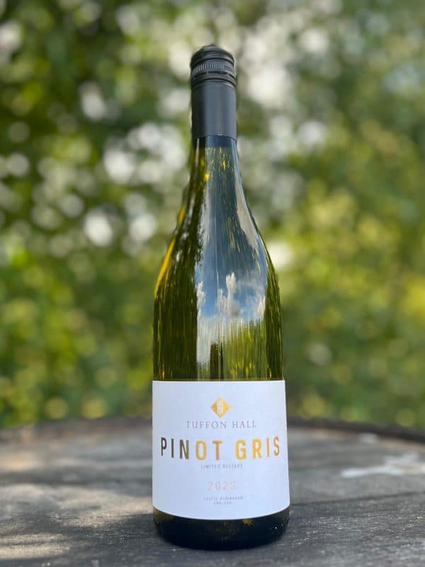 Pinot Gris 2023 LIMITED RELEASE Case of Six
